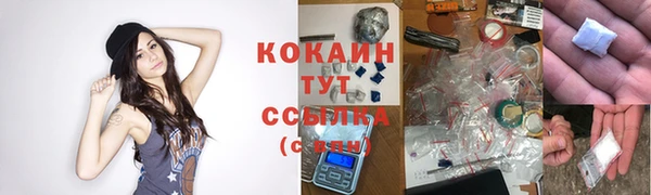 соль ск Бородино