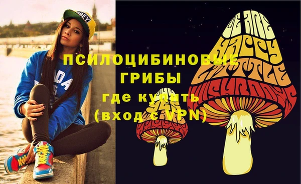 стаф Бугульма